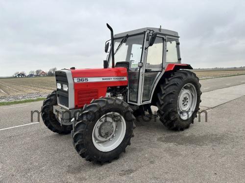 Massey Ferguson 365 ficha técnica y opiniones
