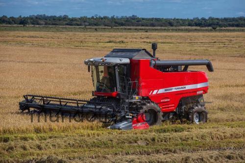 Massey Ferguson 6690 opinión y ficha técnica