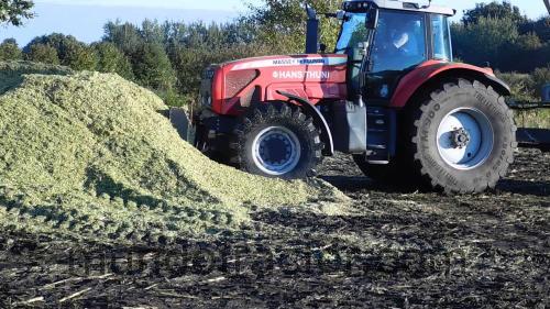 Massey Ferguson 8290 opinión y ficha técnica