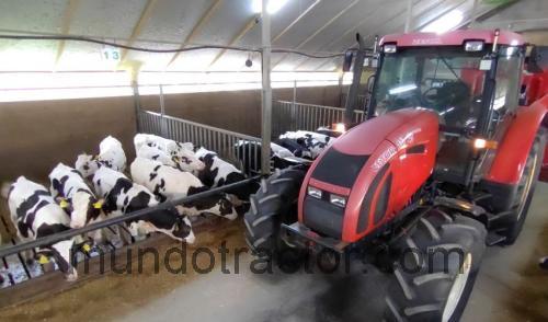 Zetor 11741 ficha técnica y opiniones